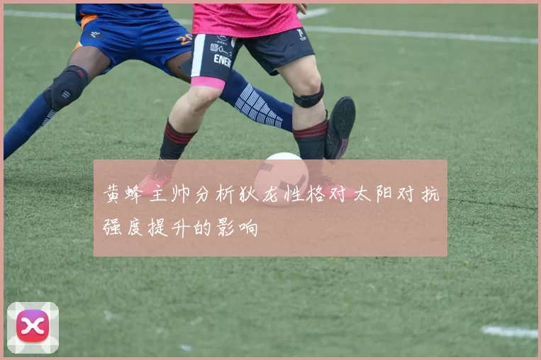 黄蜂主帅分析狄龙性格对太阳对抗强度提升的影响