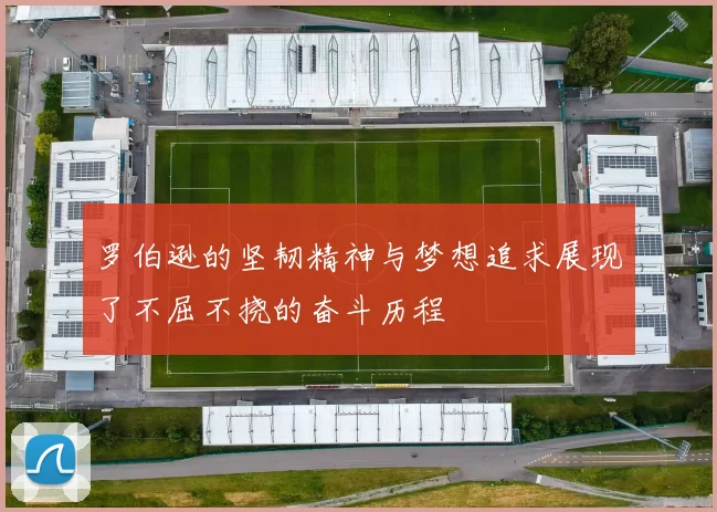 罗伯逊的坚韧精神与梦想追求展现了不屈不挠的奋斗历程
