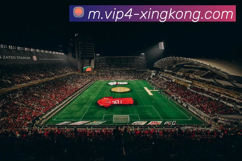 奖项证书